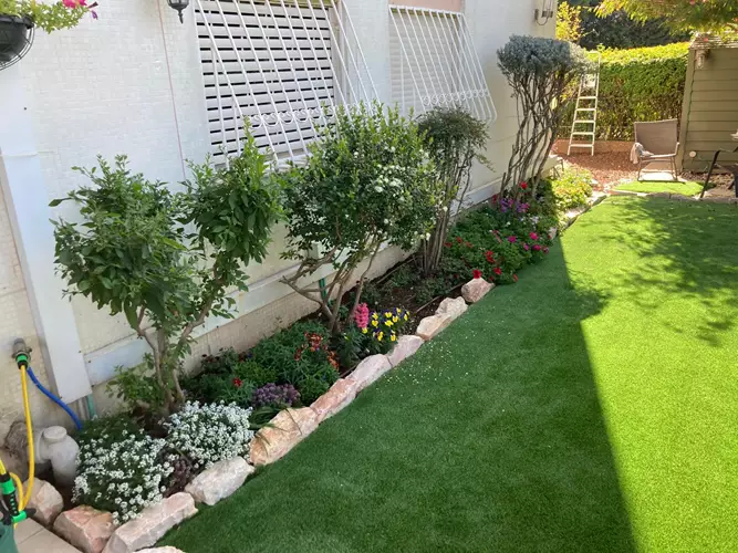 עיצוב גינה בבית פרטי 2